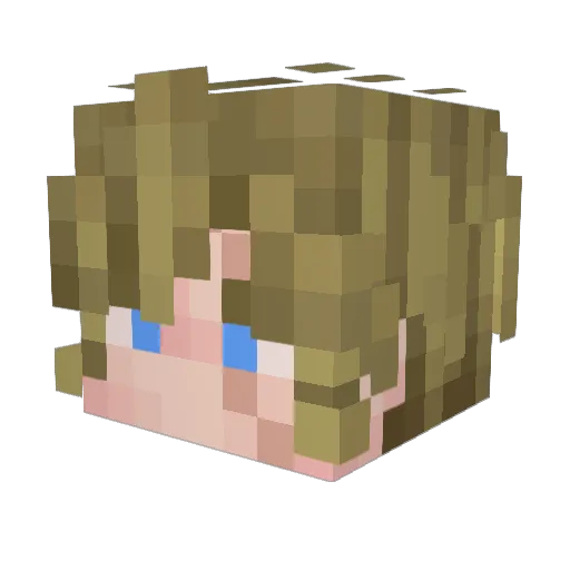 ShadowDargo Minecraft avatar head, 3D render