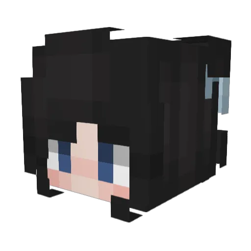 ShadowDark485 Minecraft avatar head, 3D render