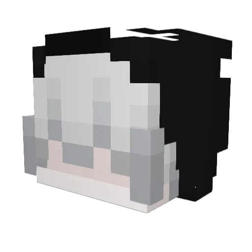 ShadowDragon6 Minecraft avatar head, 3D render
