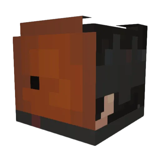 ShadowDragonA2 Minecraft avatar head, 3D render