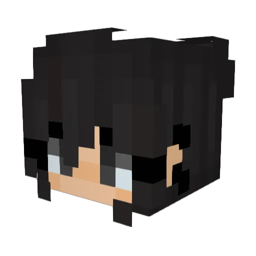 ShadowDragonSD Minecraft avatar head, 3D render