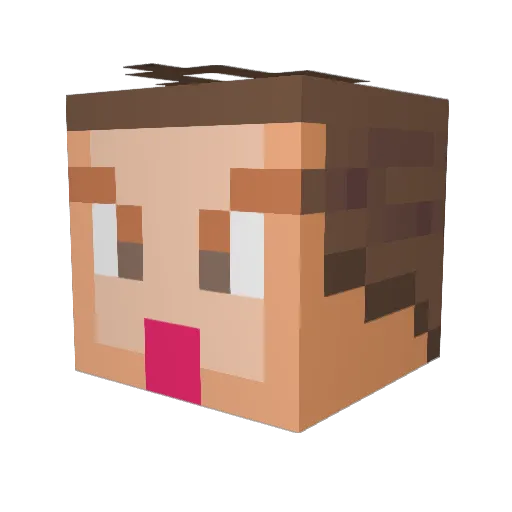 ShadowEX5 Minecraft avatar head, 3D render