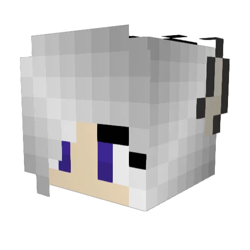 ShadowEclipse16 Minecraft avatar head, 3D render