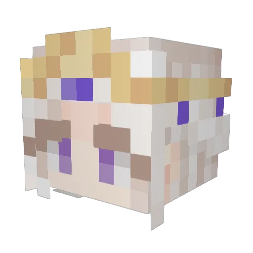 ShadowFern24 Minecraft avatar head, 3D render