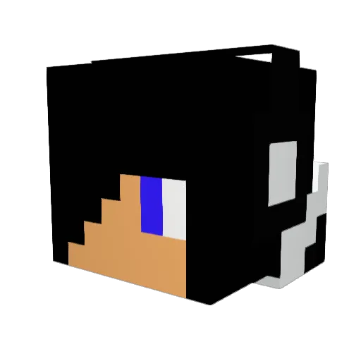 ShadowFire383 Minecraft avatar head, 3D render