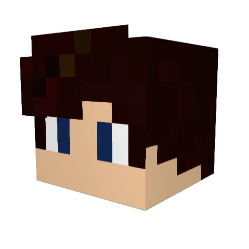 ShadowFire419 Minecraft avatar head, 3D render