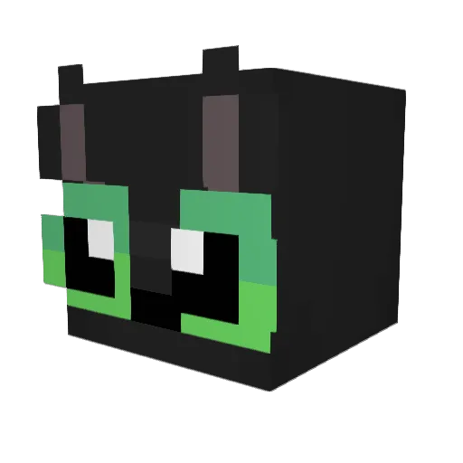 ShadowFloofster Minecraft avatar head, 3D render
