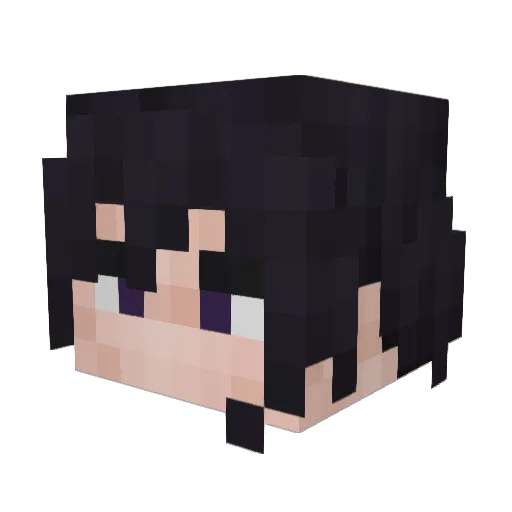 ShadowForest_ Minecraft avatar head, 3D render