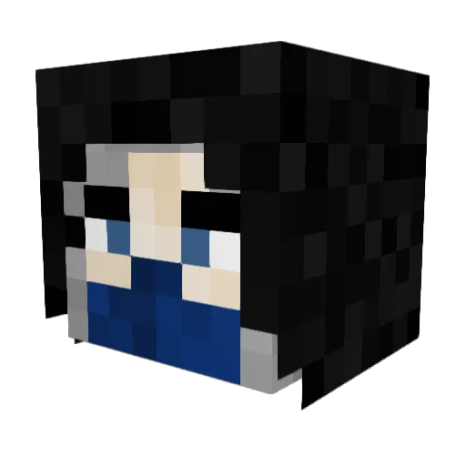ShadowFox34 Minecraft avatar head, 3D render