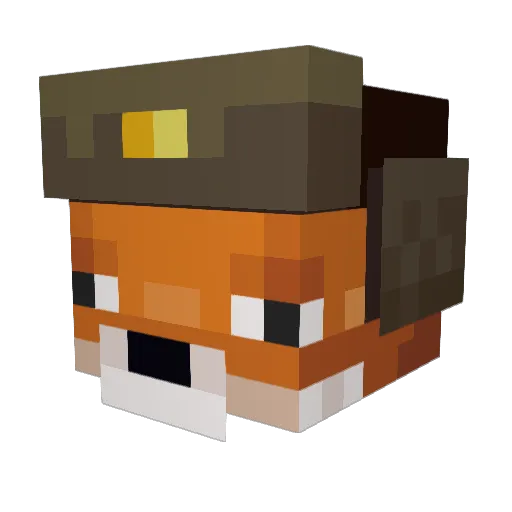 ShadowFoxKnight Minecraft avatar head, 3D render