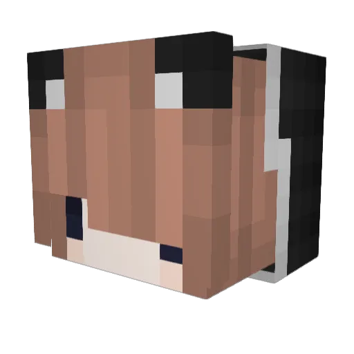 ShadowFr0st Minecraft avatar head, 3D render