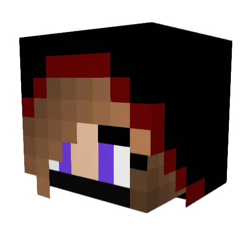 ShadowGamez14 Minecraft avatar head, 3D render