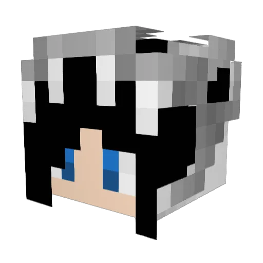 ShadowGirl9000 Minecraft avatar head, 3D render