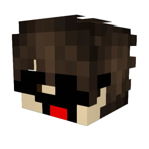 ShadowHex_Gamer Minecraft avatar head, 3D render