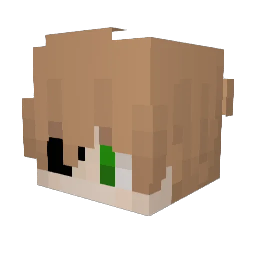 ShadowJEbD Minecraft avatar head, 3D render