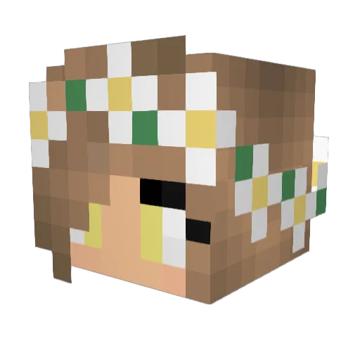 ShadowKat353 Minecraft avatar head, 3D render