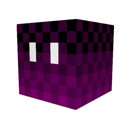 ShadowKeeper253 Minecraft avatar head, 3D render
