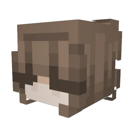 ShadowKiller3265 Minecraft avatar head, 3D render