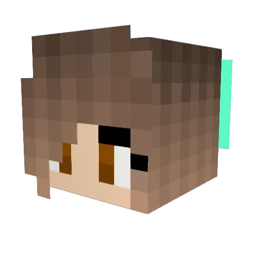 ShadowKnightSam Minecraft avatar head, 3D render