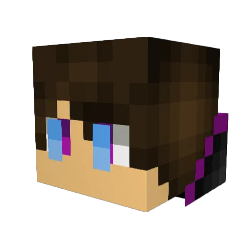 ShadowLightBlade Minecraft avatar head, 3D render