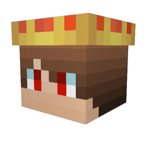 ShadowLoWer Minecraft avatar head, 3D render