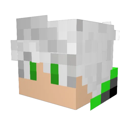 ShadowMG10 Minecraft avatar head, 3D render
