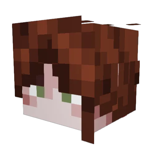 ShadowMasterKing Minecraft avatar head, 3D render