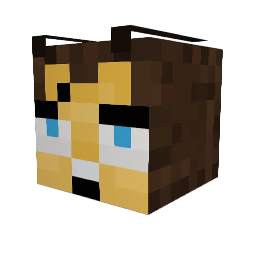 ShadowNightmar3 Minecraft avatar head, 3D render