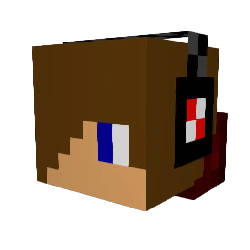 ShadowNinja4200 Minecraft avatar head, 3D render
