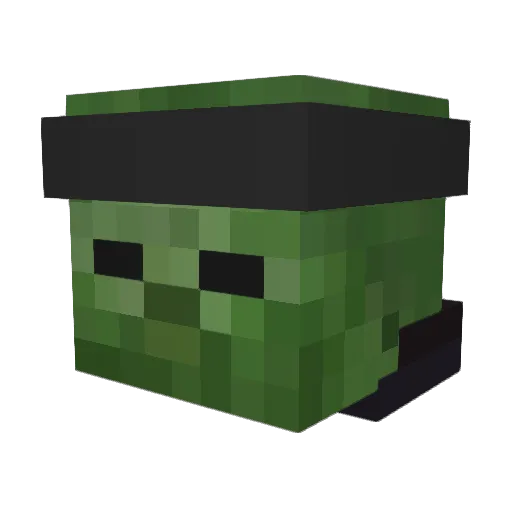 ShadowNinja4246 Minecraft avatar head, 3D render