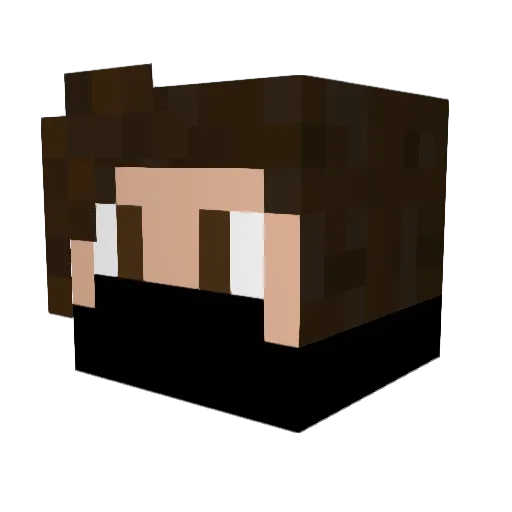 ShadowNinja513 Minecraft avatar head, 3D render