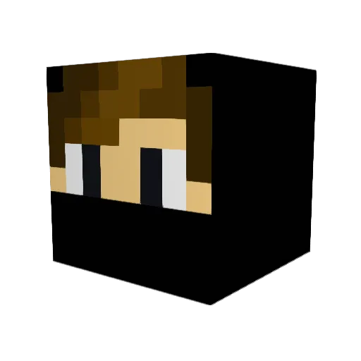 ShadowNinja747 Minecraft avatar head, 3D render