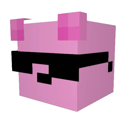 ShadowNinjaVex Minecraft avatar head, 3D render