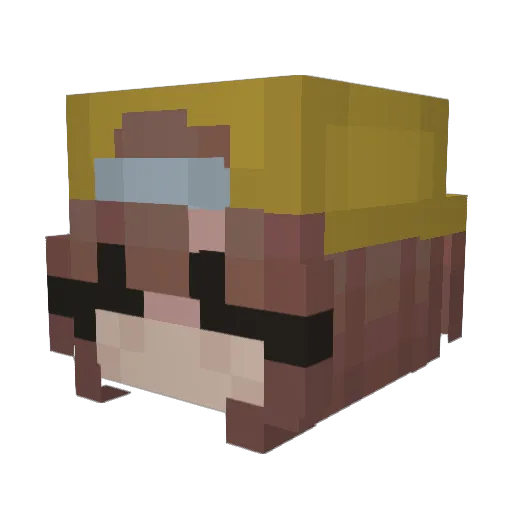 ShadowNinja_Real Minecraft avatar head, 3D render