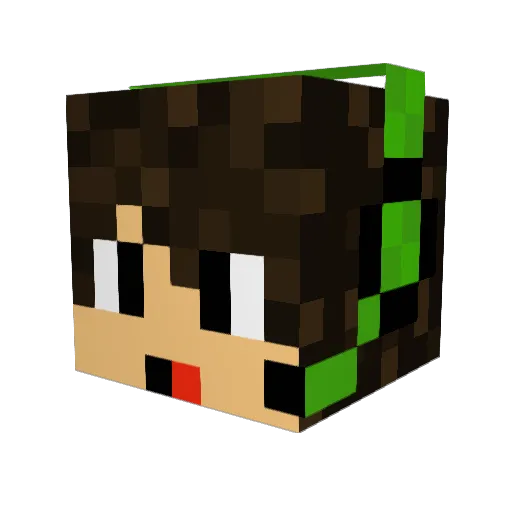 ShadowNnjas Minecraft avatar head, 3D render