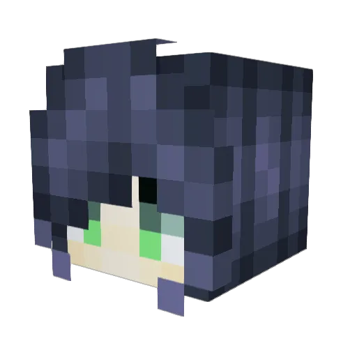 ShadowNxco69 Minecraft avatar head, 3D render