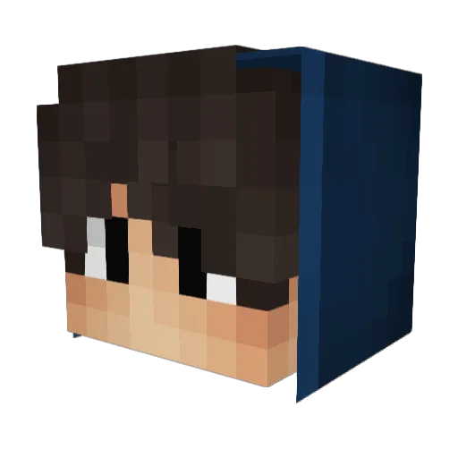 ShadowNyan99 Minecraft avatar head, 3D render