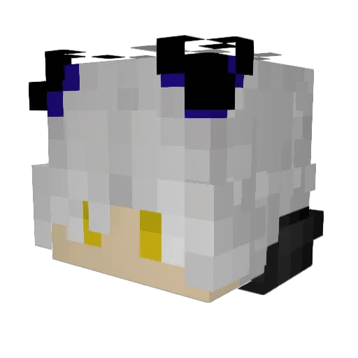 ShadowOfTheDead Minecraft avatar head, 3D render
