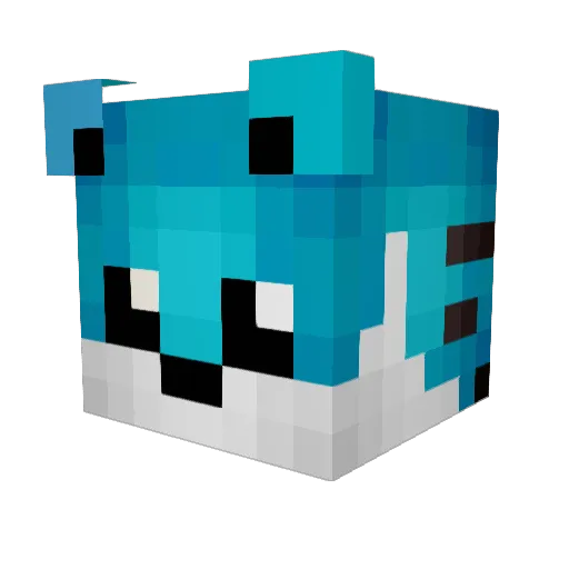 ShadowPrincessW Minecraft avatar head, 3D render