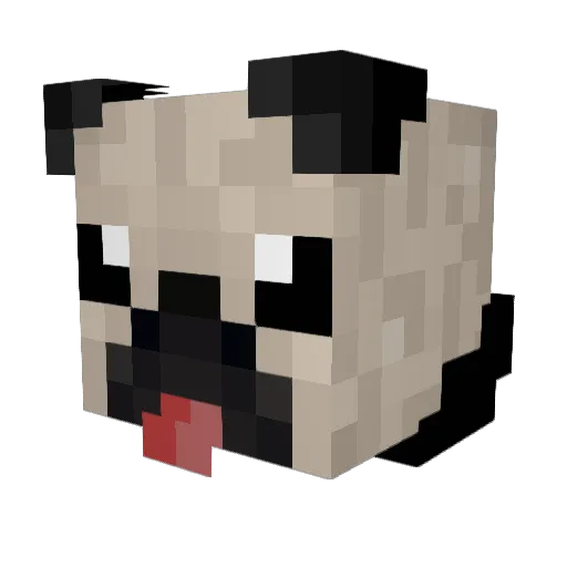 ShadowPug9791 Minecraft avatar head, 3D render