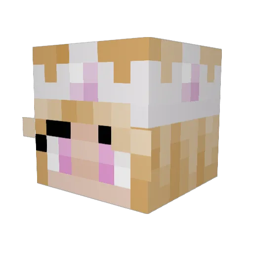 ShadowPulse67 Minecraft avatar head, 3D render