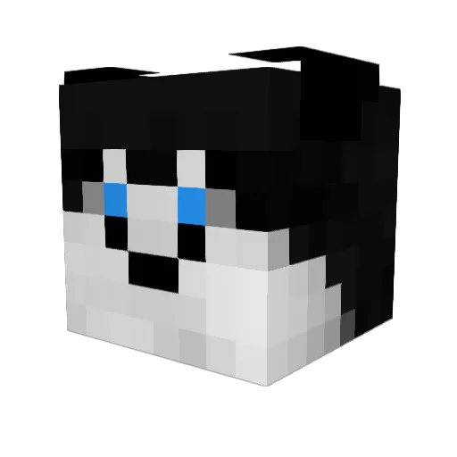 ShadowPuppy23 Minecraft avatar head, 3D render