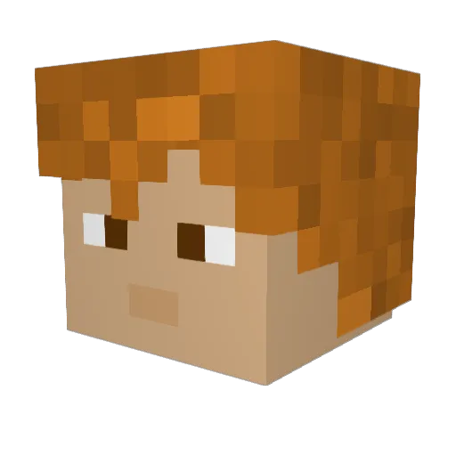 ShadowRaizer Minecraft avatar head, 3D render
