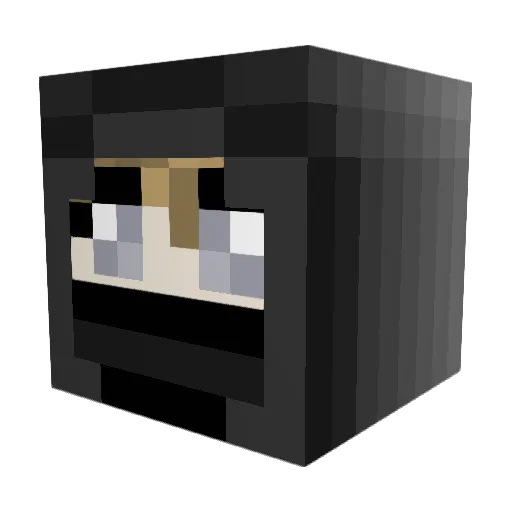 ShadowRaven2571 Minecraft avatar head, 3D render