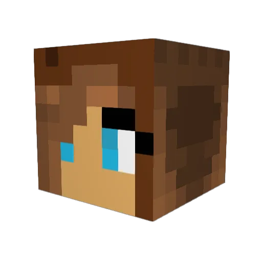 ShadowRaven5 Minecraft avatar head, 3D render