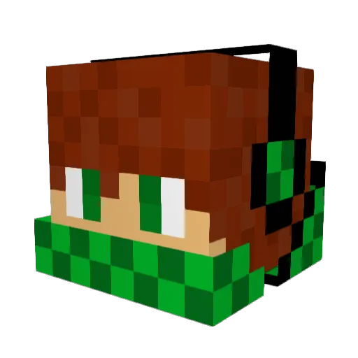 ShadowRider2255 Minecraft avatar head, 3D render