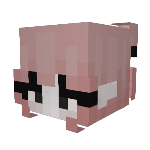 ShadowRin Minecraft avatar head, 3D render