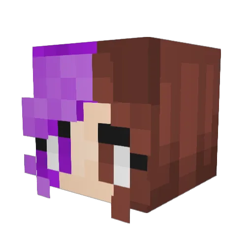 ShadowRoxas1322 Minecraft avatar head, 3D render