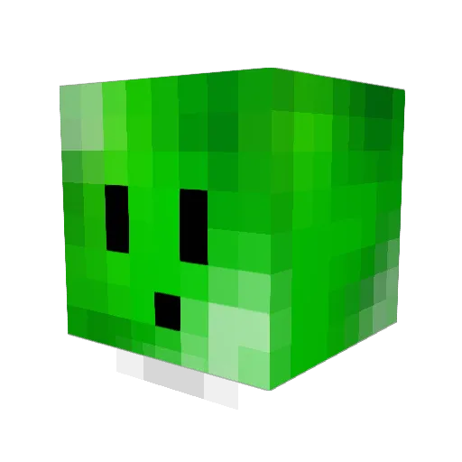 ShadowRush41 Minecraft avatar head, 3D render