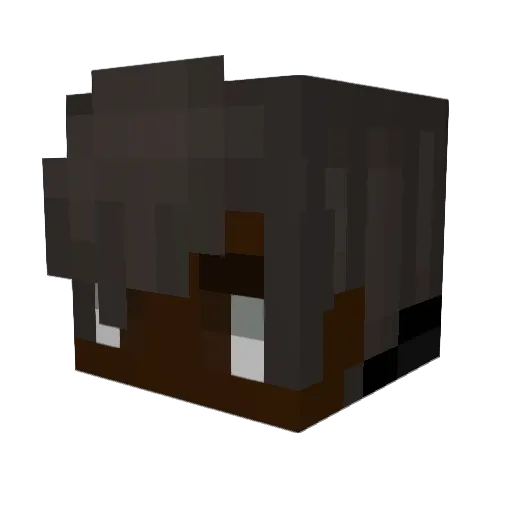 ShadowSaga Minecraft avatar head, 3D render